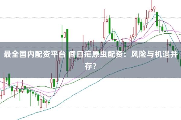 最全国内配资平台 间日疟原虫配资：风险与机遇并存？