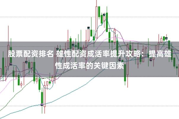 股票配资排名 雄性配资成活率提升攻略：提高雄性成活率的关键因素