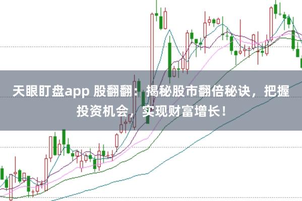天眼盯盘app 股翻翻：揭秘股市翻倍秘诀，把握投资机会，实现财富增长！