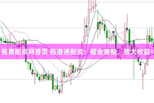 股票配资网首页 陆港通配资:掘金港股,放大收益!
