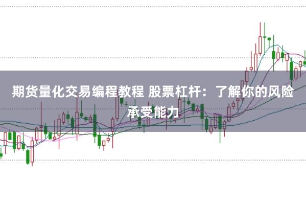 期货量化交易编程教程 股票杠杆：了解你的风险承受能力