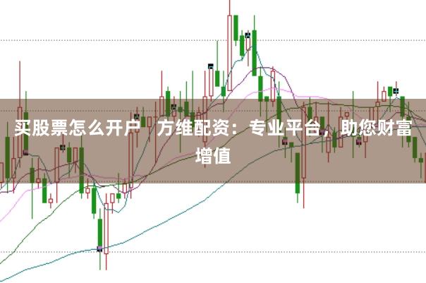 买股票怎么开户 方维配资:专业平台,助您财富增值