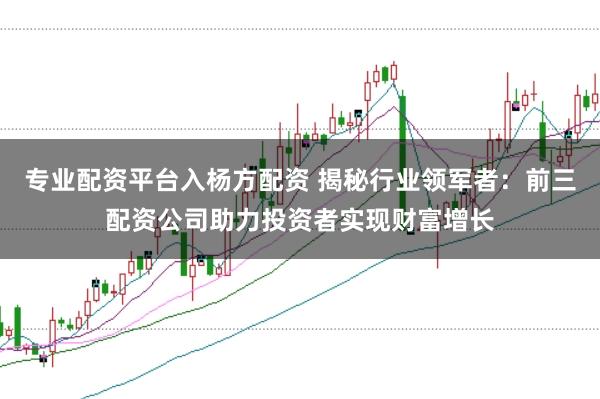 专业配资平台入杨方配资 揭秘行业领军者：前三配资公司助力投资者实现财富增长