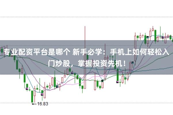专业配资平台是哪个 新手必学：手机上如何轻松入门炒股，掌握投资先机！