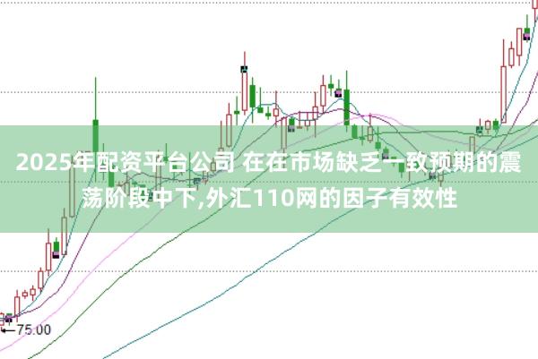 2025年配资平台公司 在在市场缺乏一致预期的震荡阶段中下，外汇110网的因子有效性