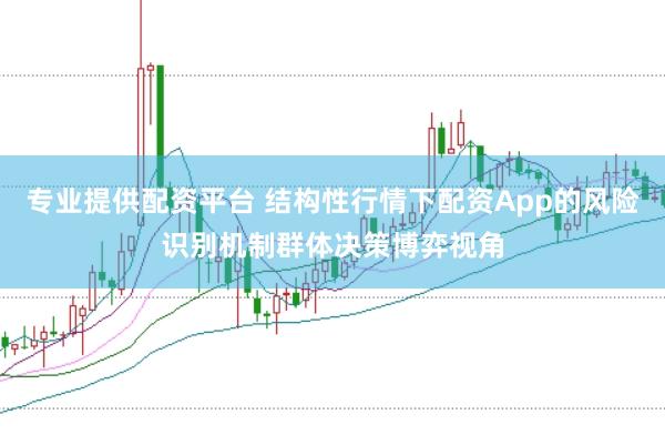 专业提供配资平台 结构性行情下配资App的风险识别机制群体决策博弈视角