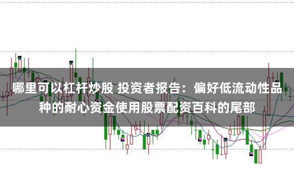 哪里可以杠杆炒股 投资者报告：偏好低流动性品种的耐心资金使用股票配资百科的尾部